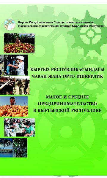 Малое и среднее предпринимательство в Кыргызской Республике